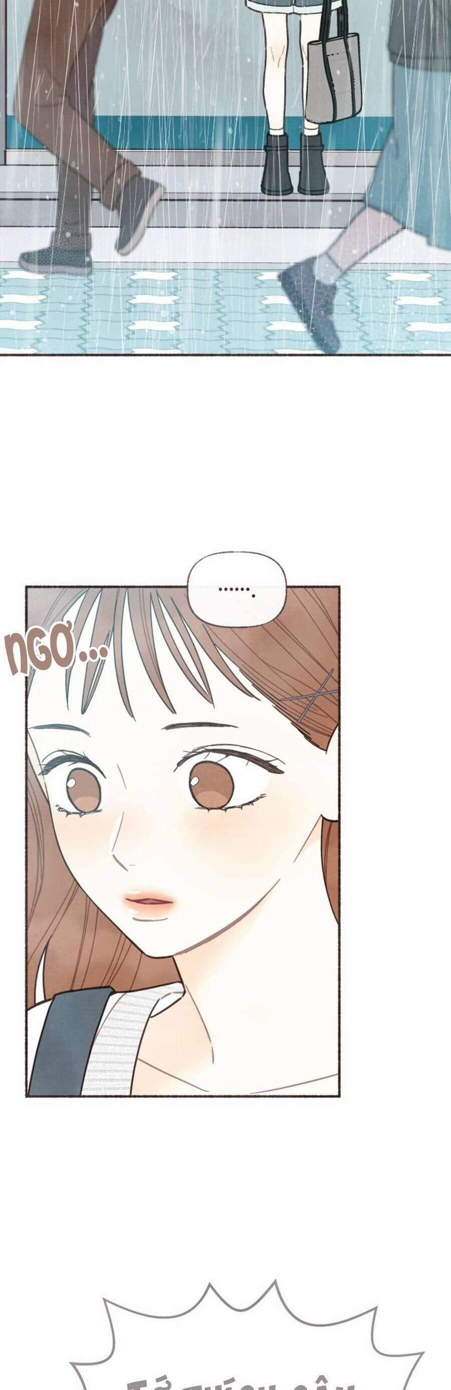 Cảm Xúc Chuyển Giao 13 trang 3