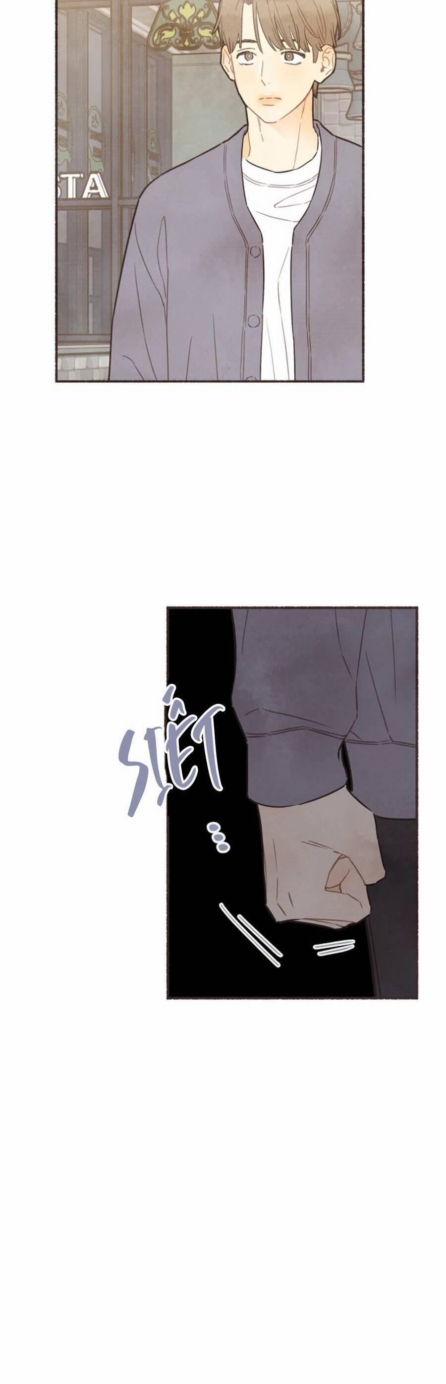 Cảm Xúc Chuyển Giao 8 trang 16