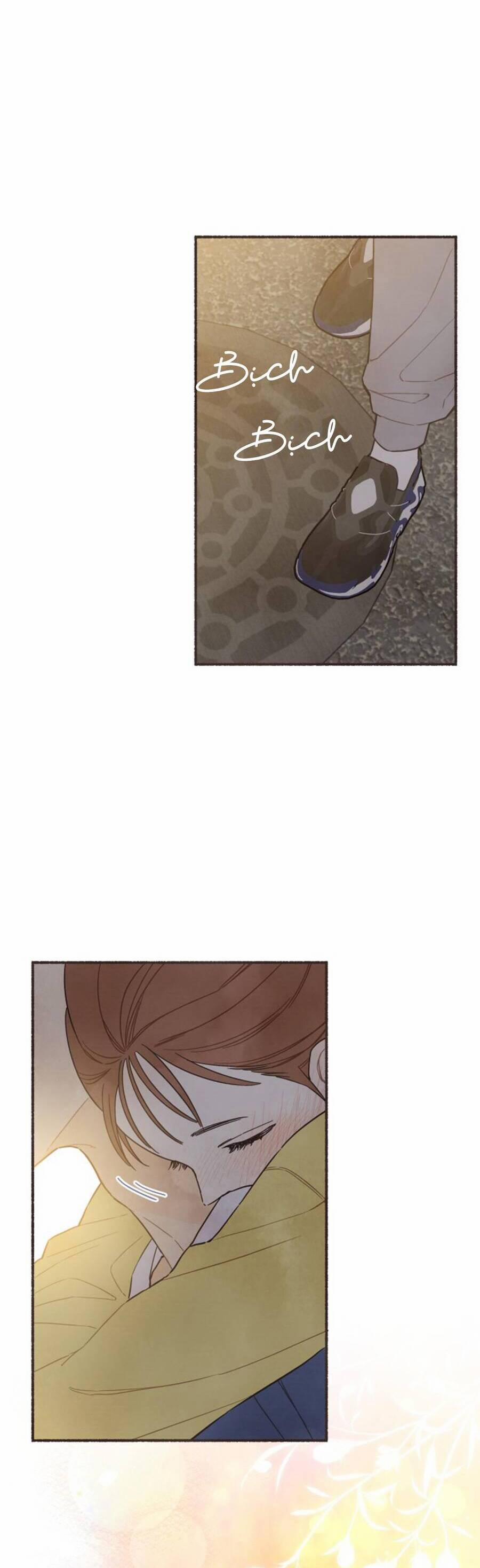 Cảm Xúc Chuyển Giao 8 trang 27