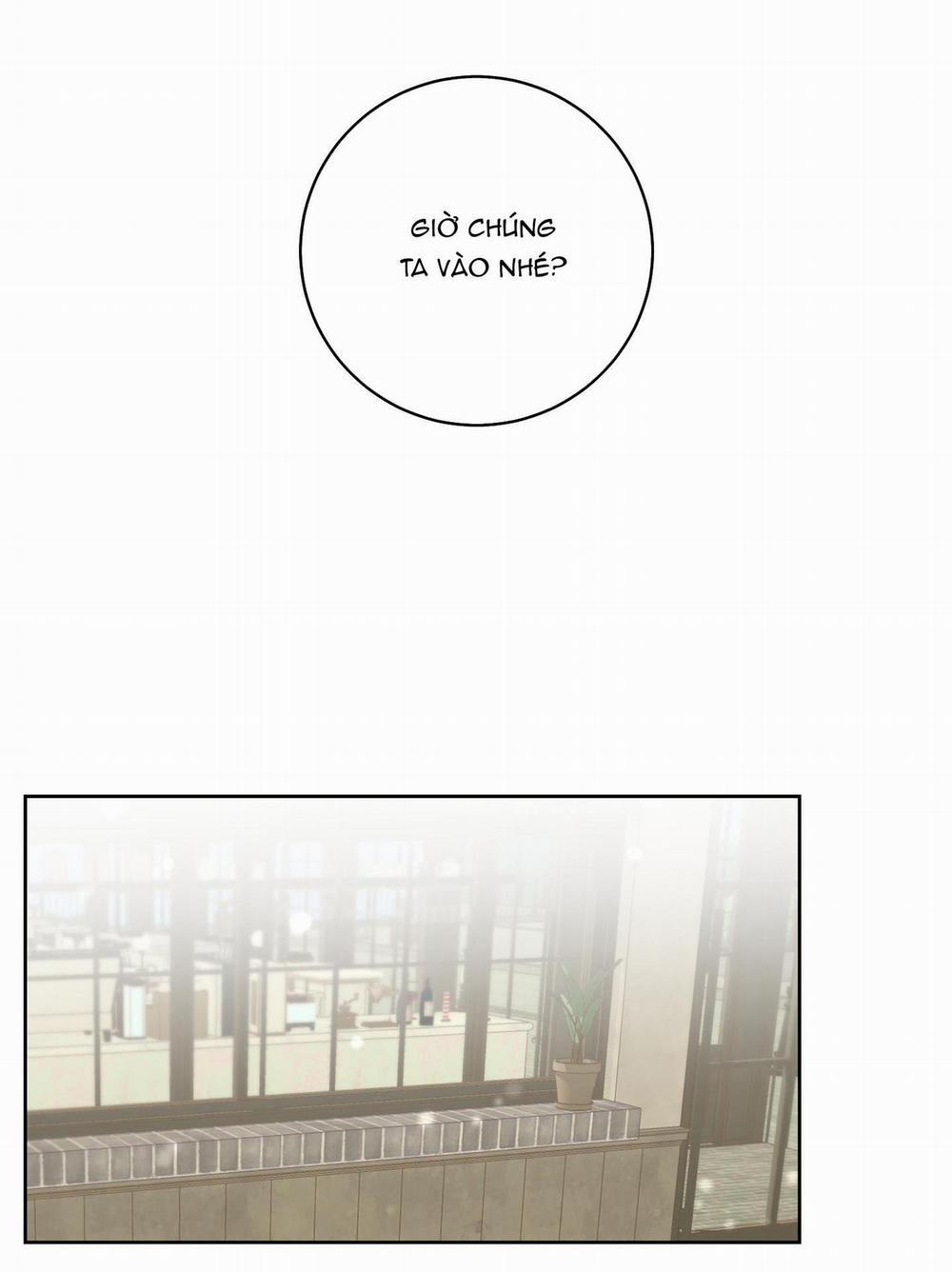 Camboy Bunny 4 trang 55