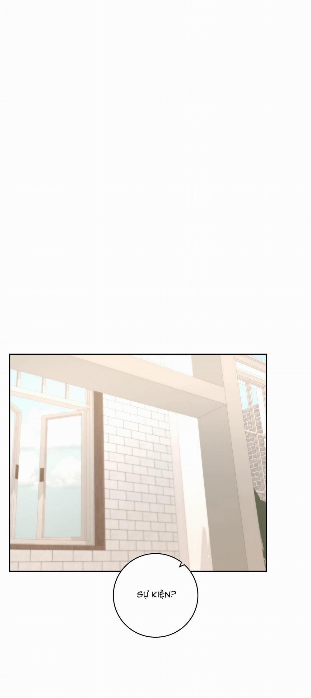 Camboy Bunny 6 trang 51