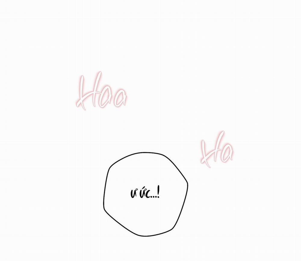 Camboy Bunny 7 trang 41