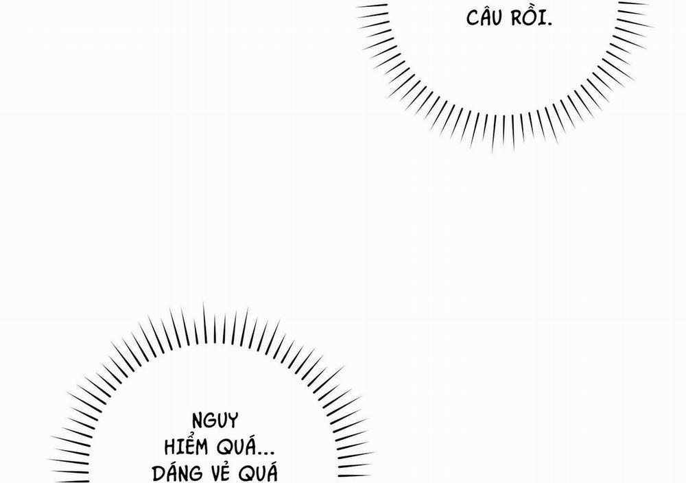 Camboy Bunny 8 trang 25