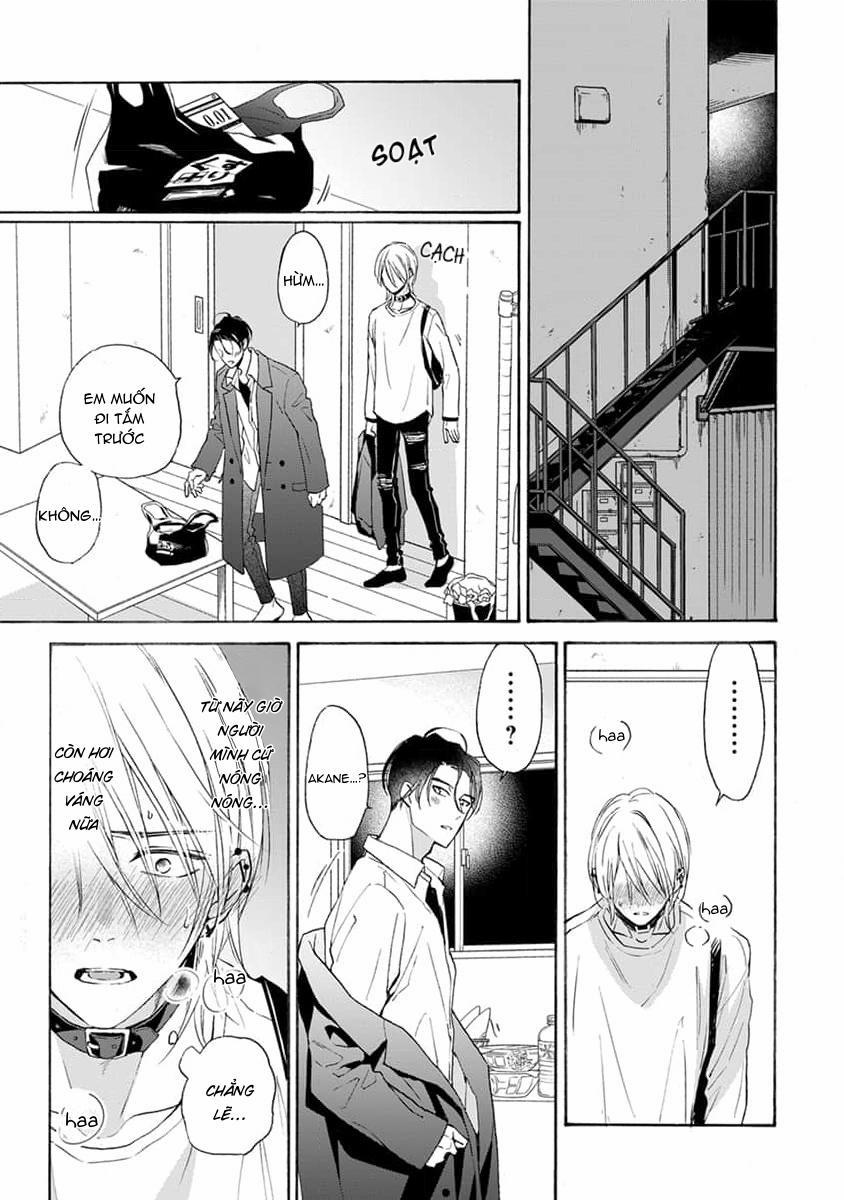 Cắn Nát Viên Ruby Đỏ 6 trang 20