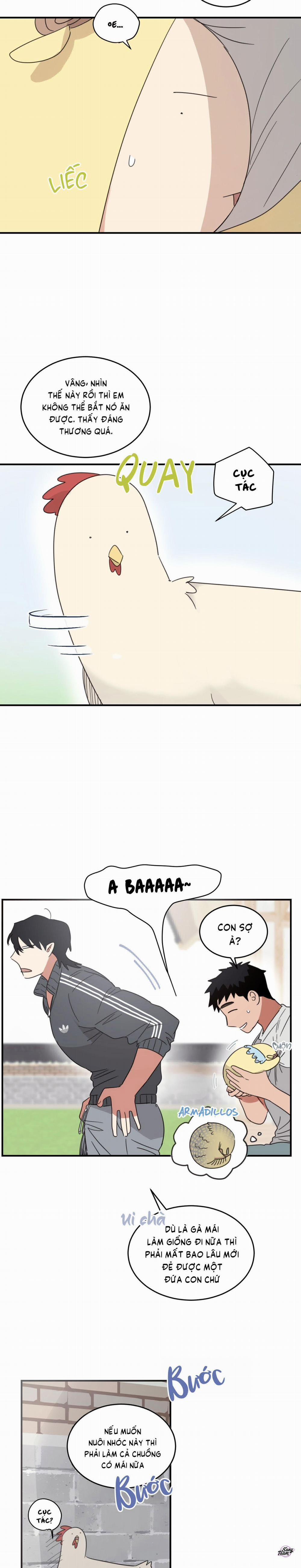 Căn Nhà Mặt Trời Mọc 19 trang 2