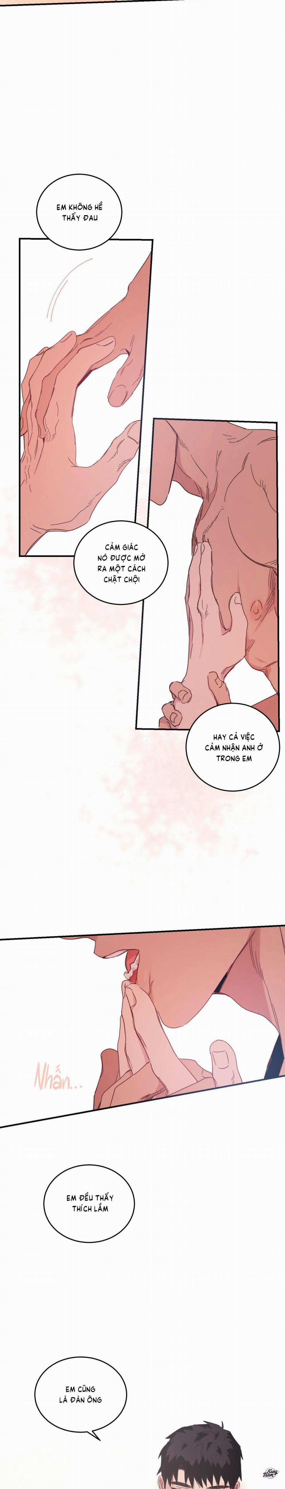 Căn Nhà Mặt Trời Mọc 24 trang 3