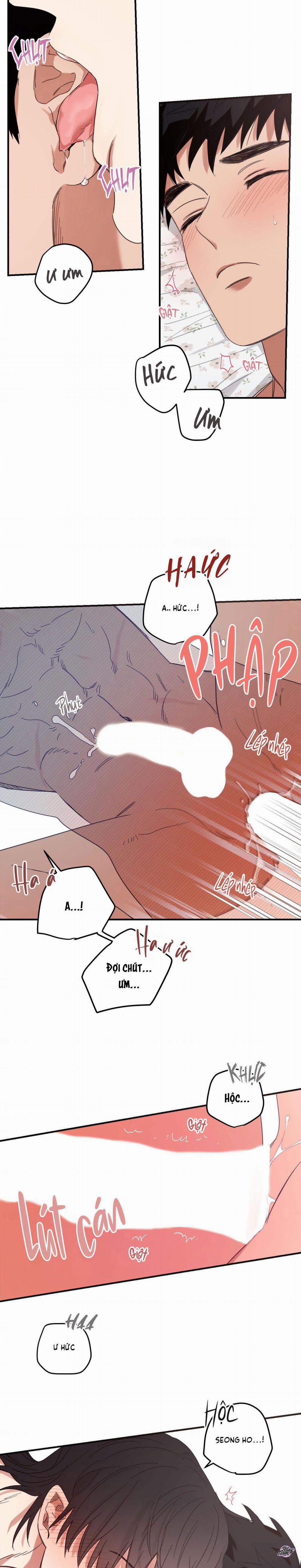 Căn Nhà Mặt Trời Mọc 24 trang 8