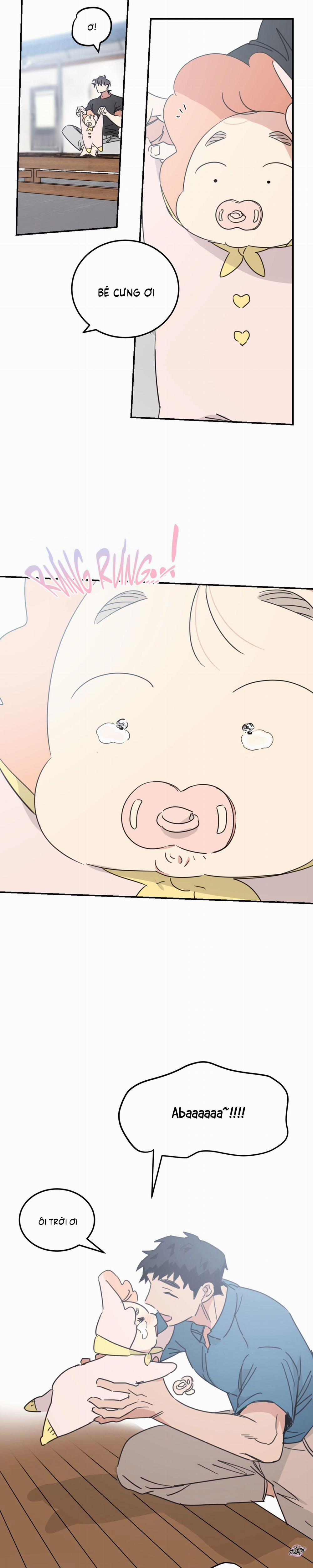 Căn Nhà Mặt Trời Mọc 43 trang 16