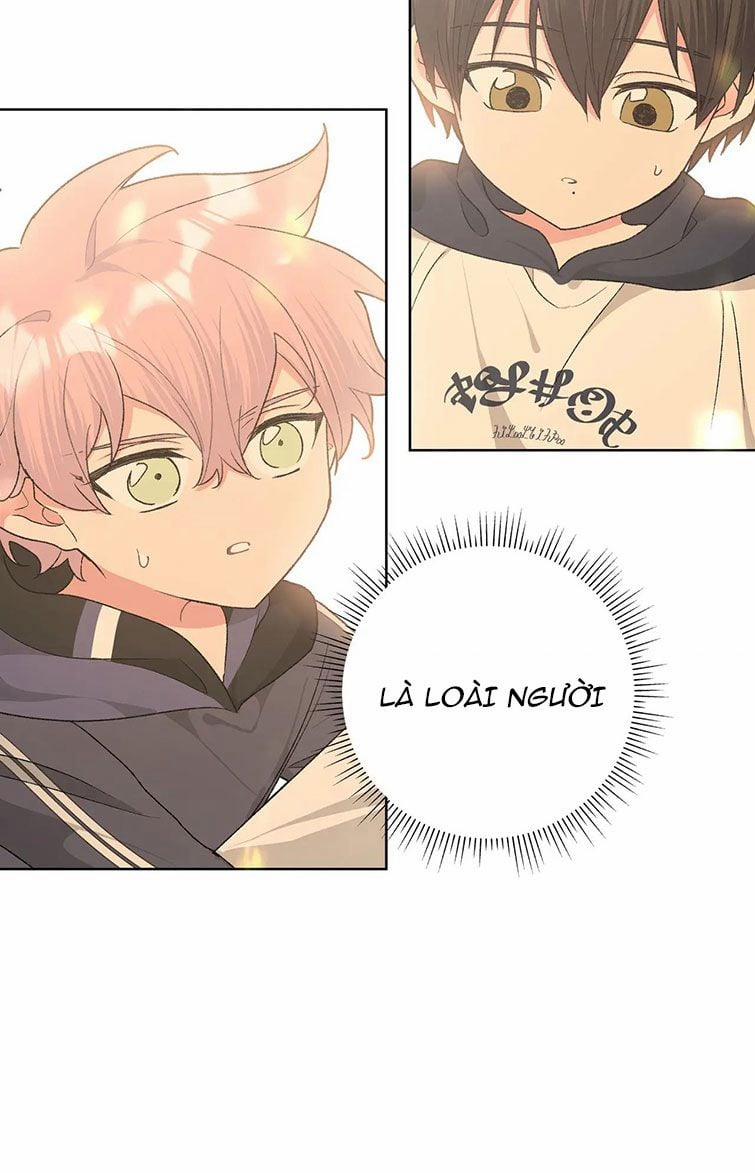 Cẩn Thận Bị Mộng Ma Ăn Mất 81 trang 8