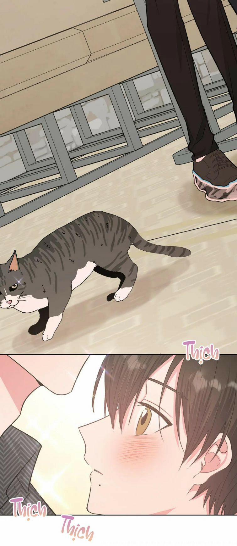 Cẩn Thận Bị Mộng Ma Ăn Sạch Đấy 64 trang 18