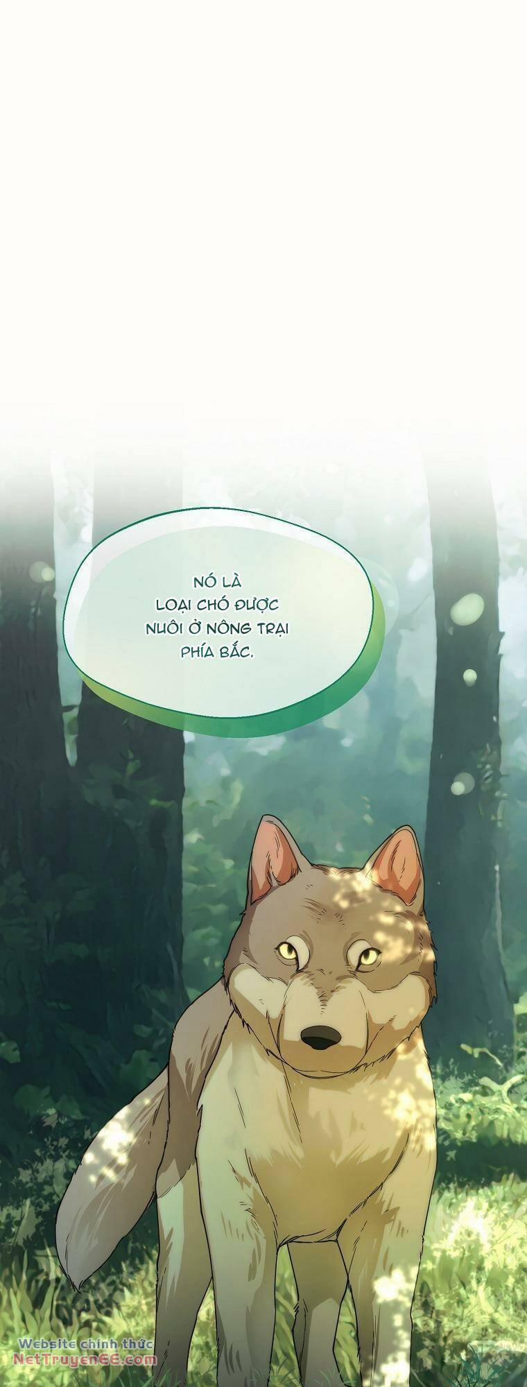 Cẩn Thận Khi Chọn Chồng 23 trang 49