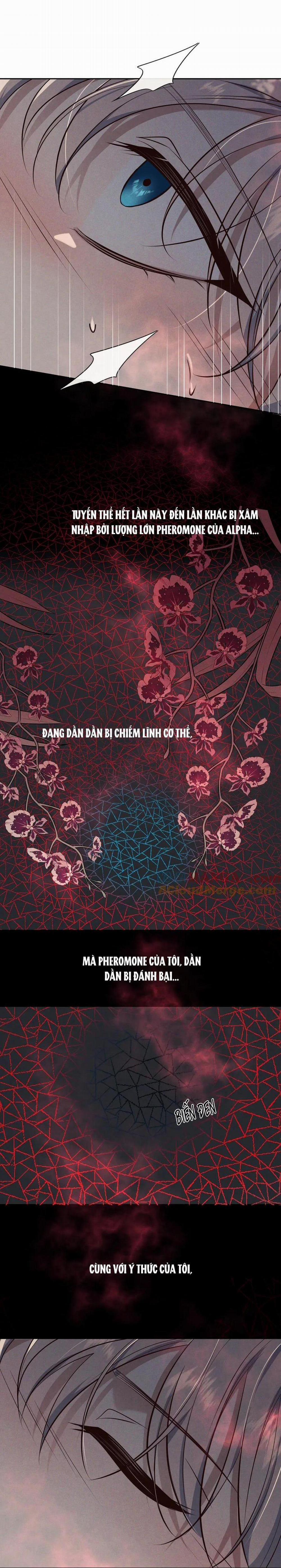 Cạn Tình 17 trang 13