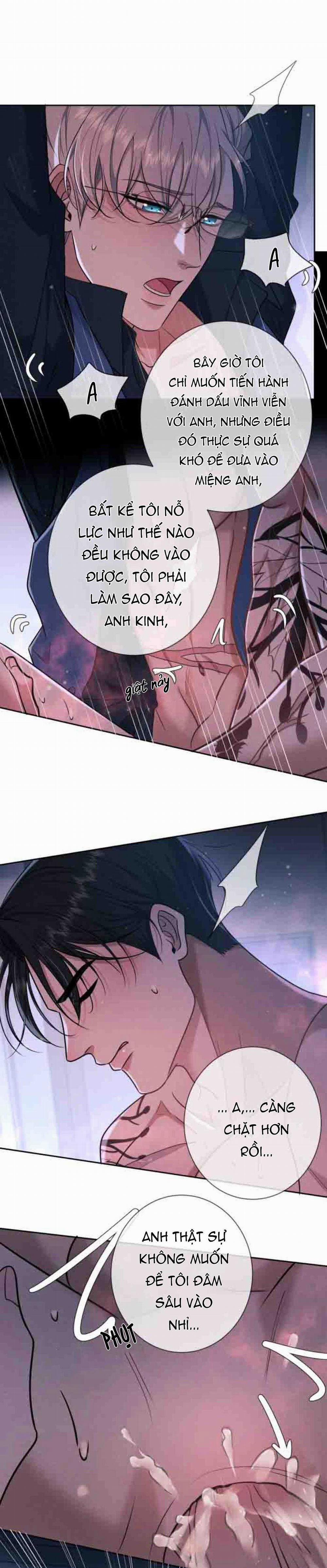 Cạn Tình 21 trang 11