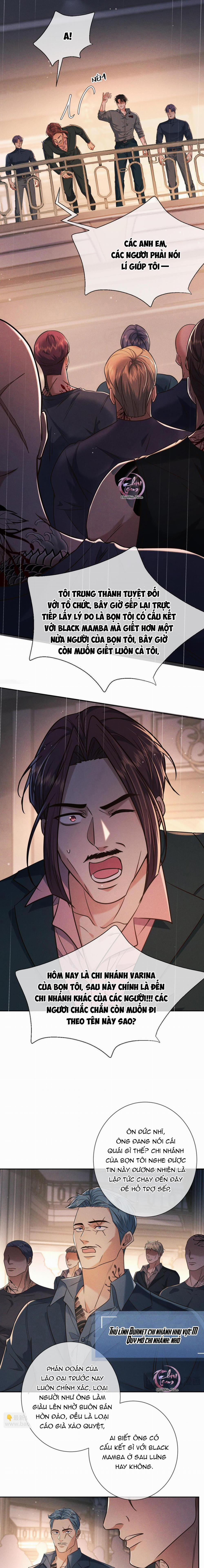 Cạn Tình 23 trang 8