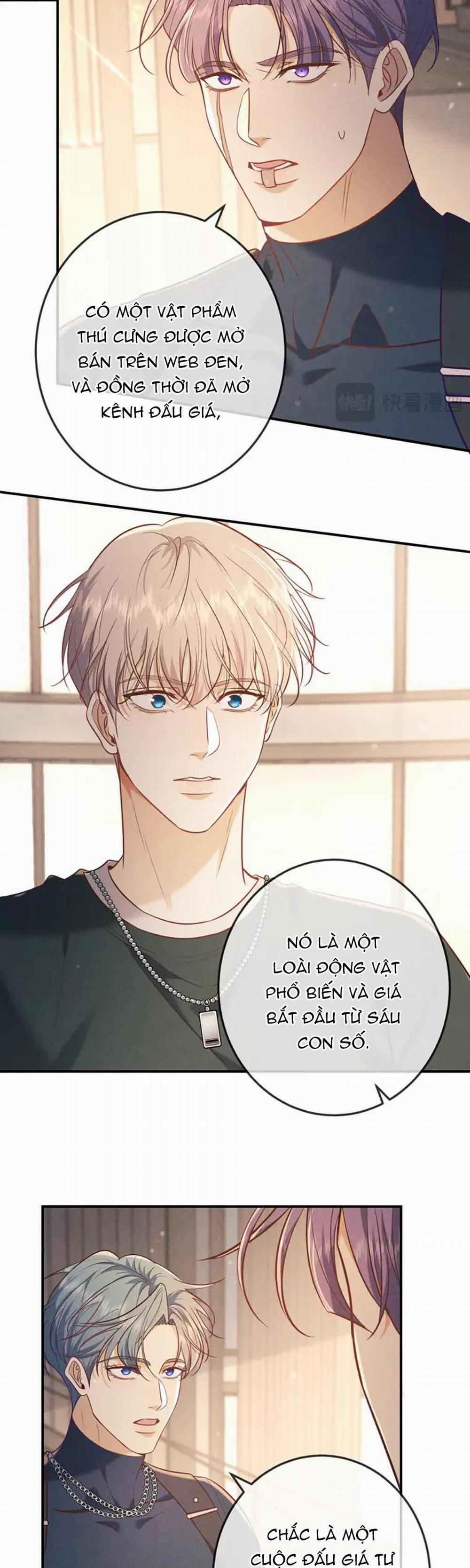 Cạn Tình 34 trang 13