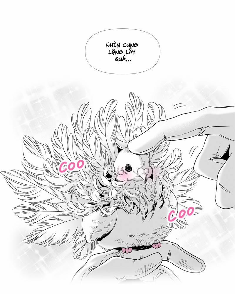 Cánh Chim 1 trang 12