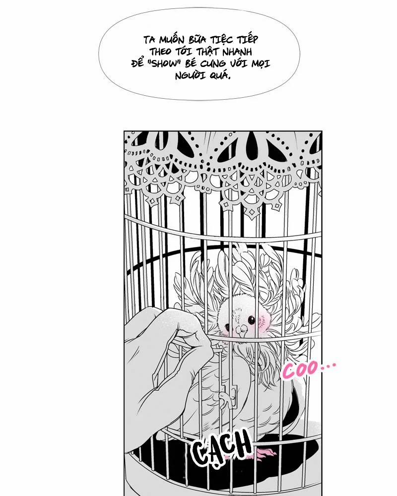 Cánh Chim 1 trang 13