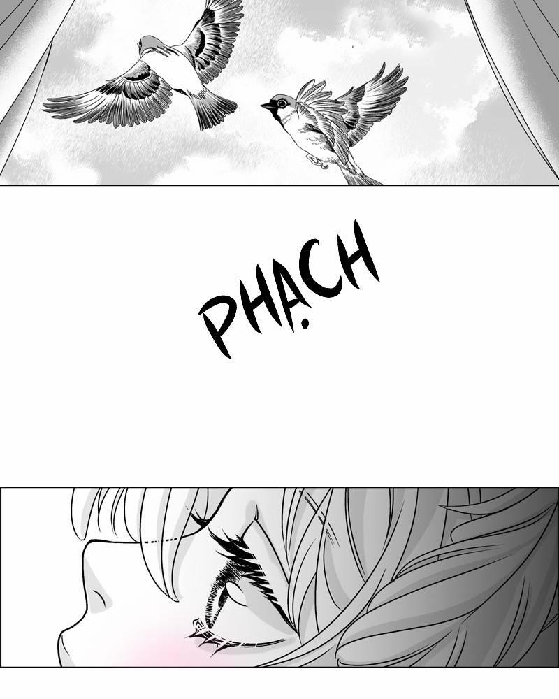 Cánh Chim 1 trang 17