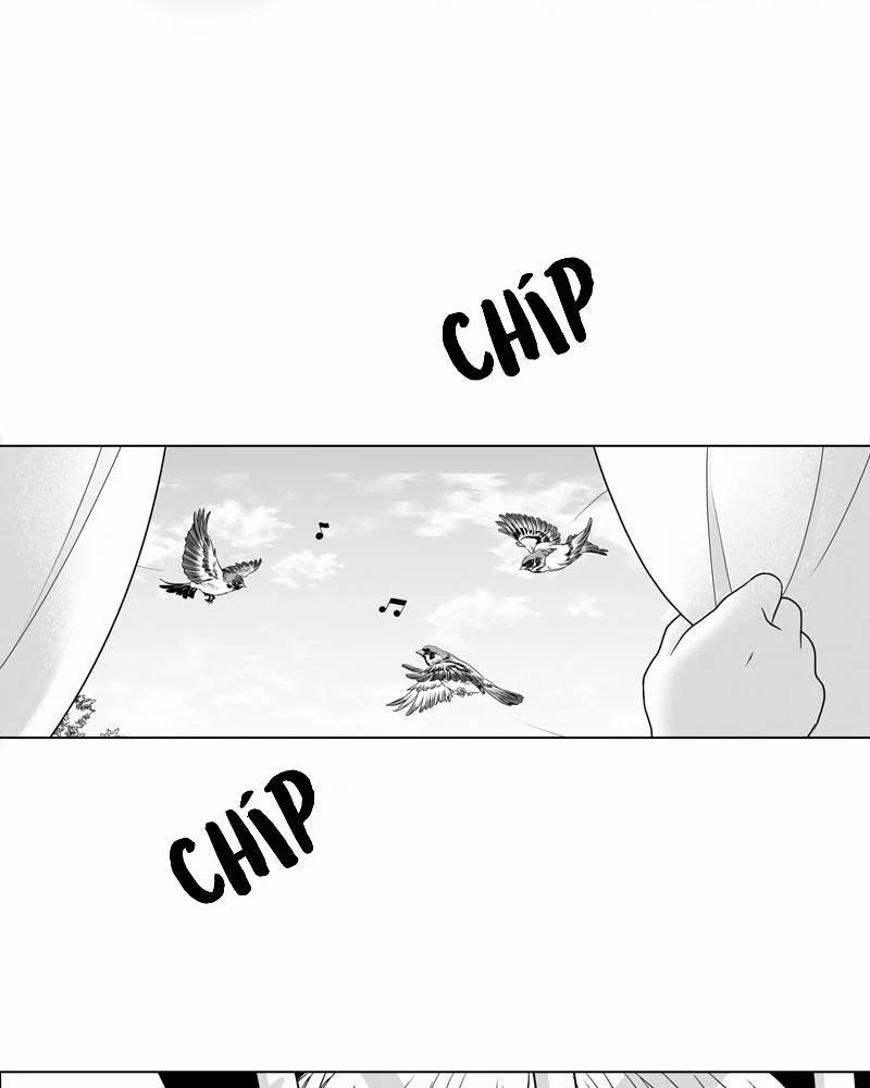 Cánh Chim 1 trang 20