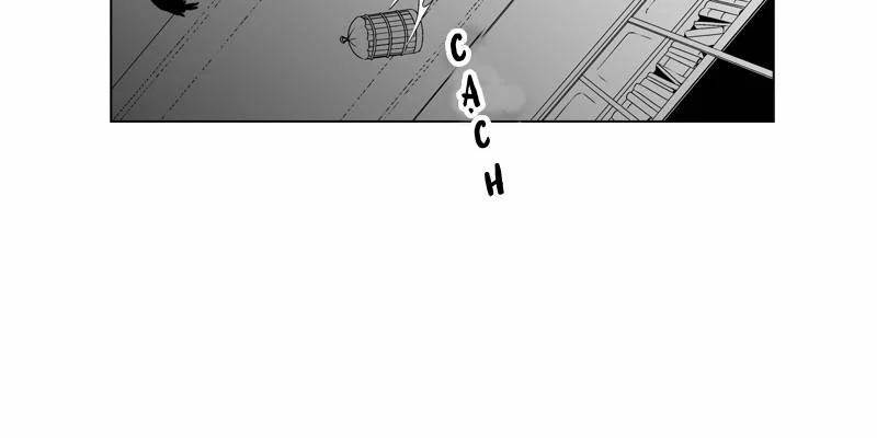 Cánh Chim 1 trang 23