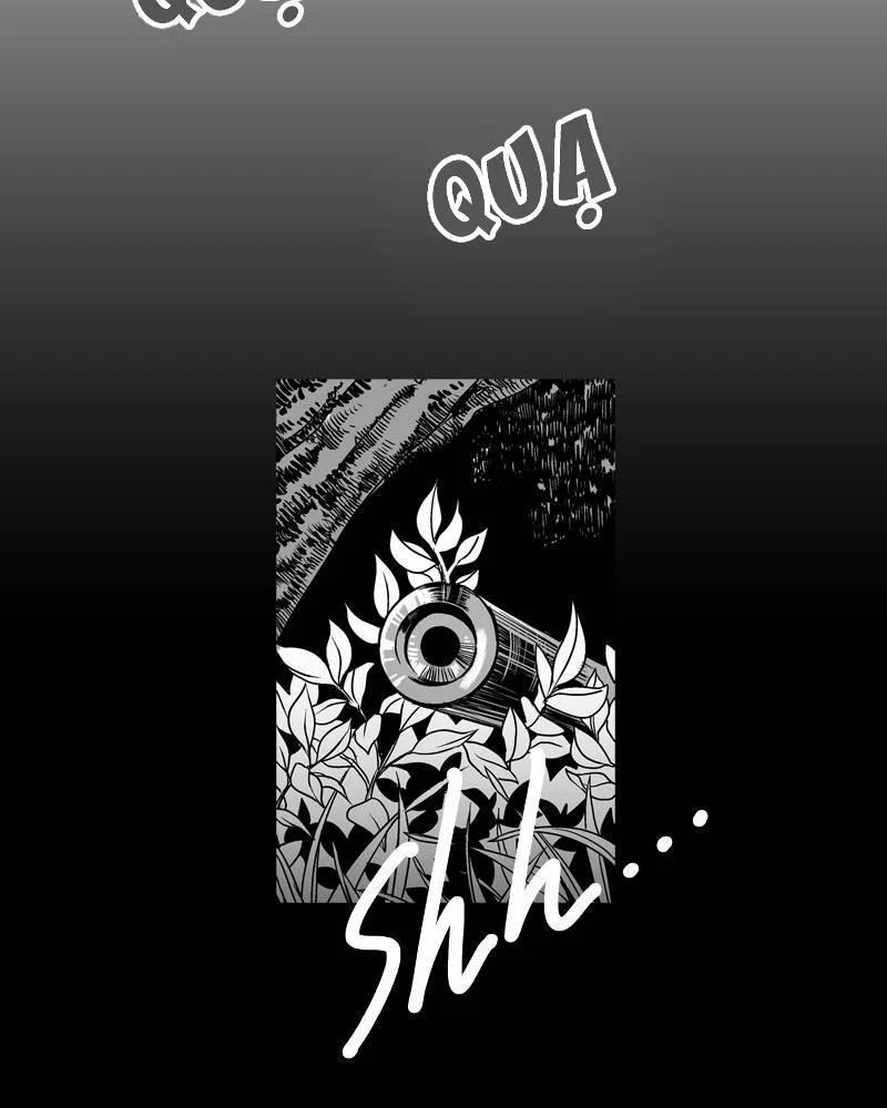 Cánh Chim 1 trang 3