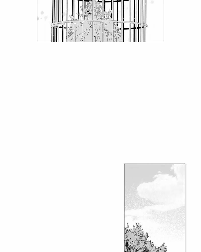 Cánh Chim 2 trang 39