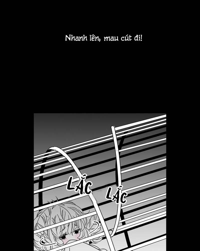 Cánh Chim 2 trang 7