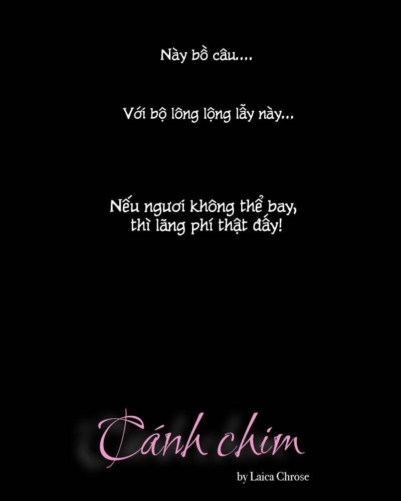 Cánh Chim 3 trang 0