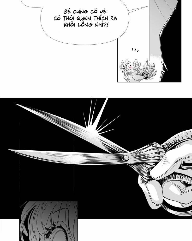 Cánh Chim 3 trang 21