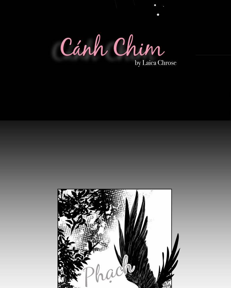 Cánh Chim 4 trang 1