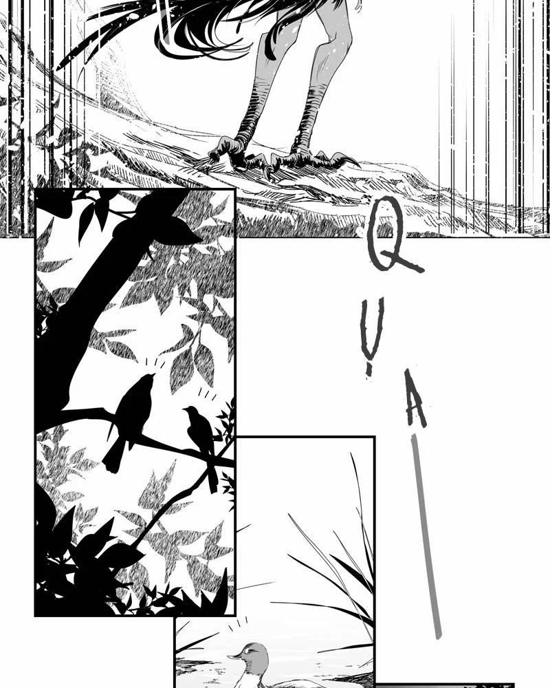 Cánh Chim 4 trang 15