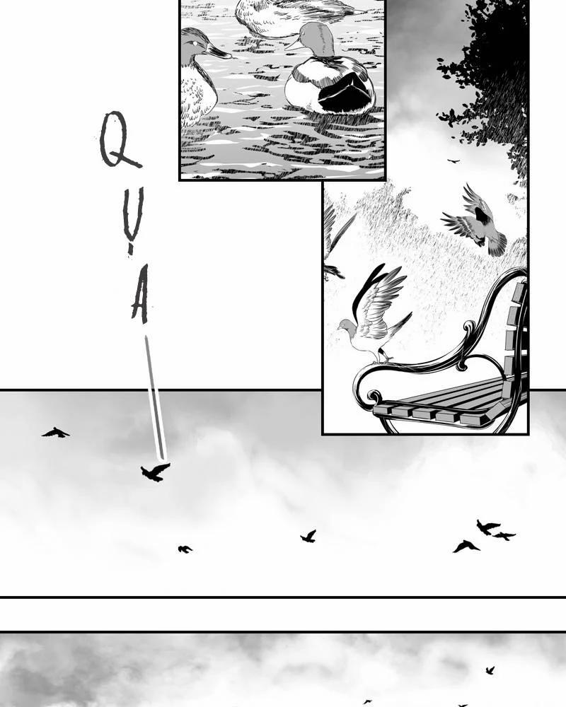 Cánh Chim 4 trang 16