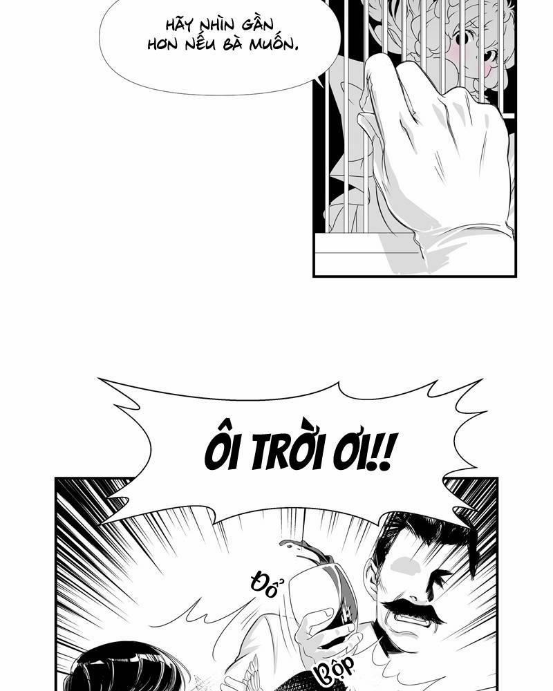 Cánh Chim 4 trang 21