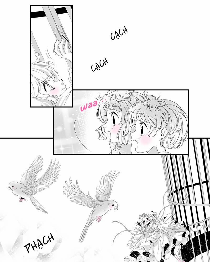 Cánh Chim 4 trang 24