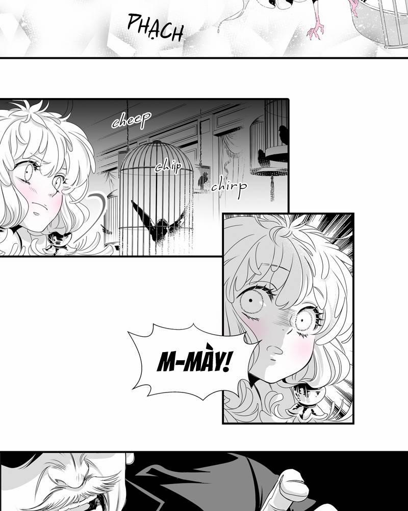 Cánh Chim 4 trang 25