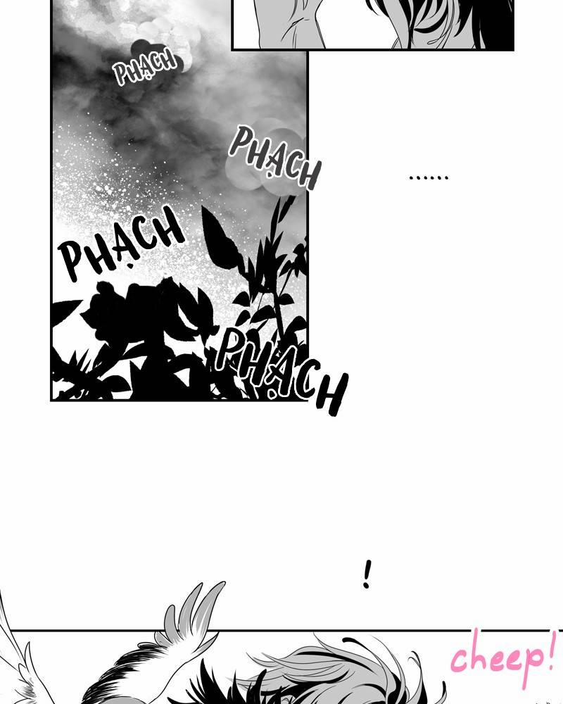 Cánh Chim 4 trang 8