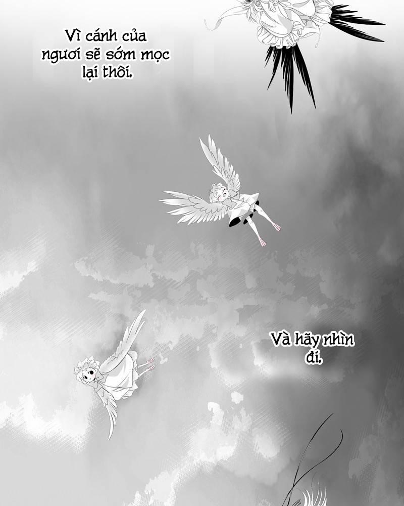 Cánh Chim 5 trang 13