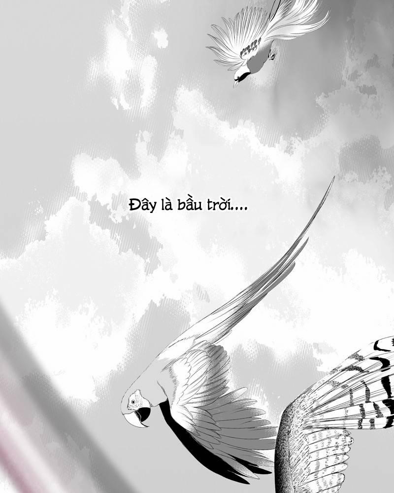 Cánh Chim 5 trang 14