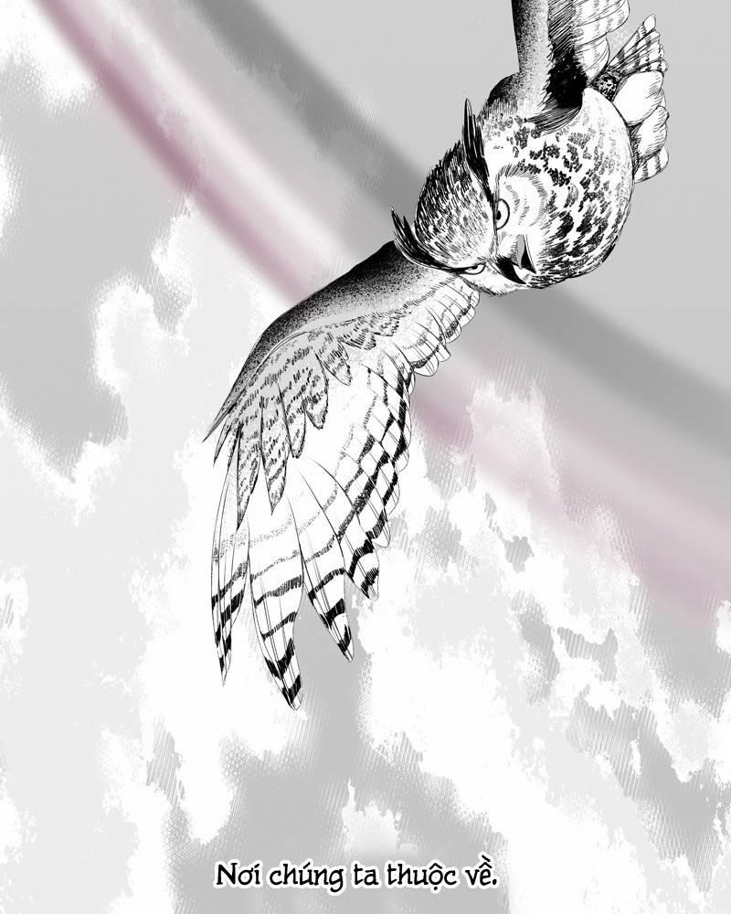 Cánh Chim 5 trang 15