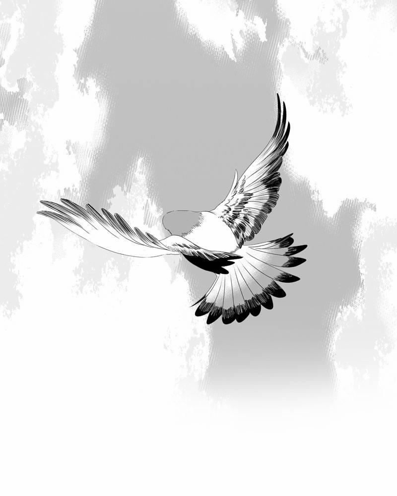 Cánh Chim 5 trang 16