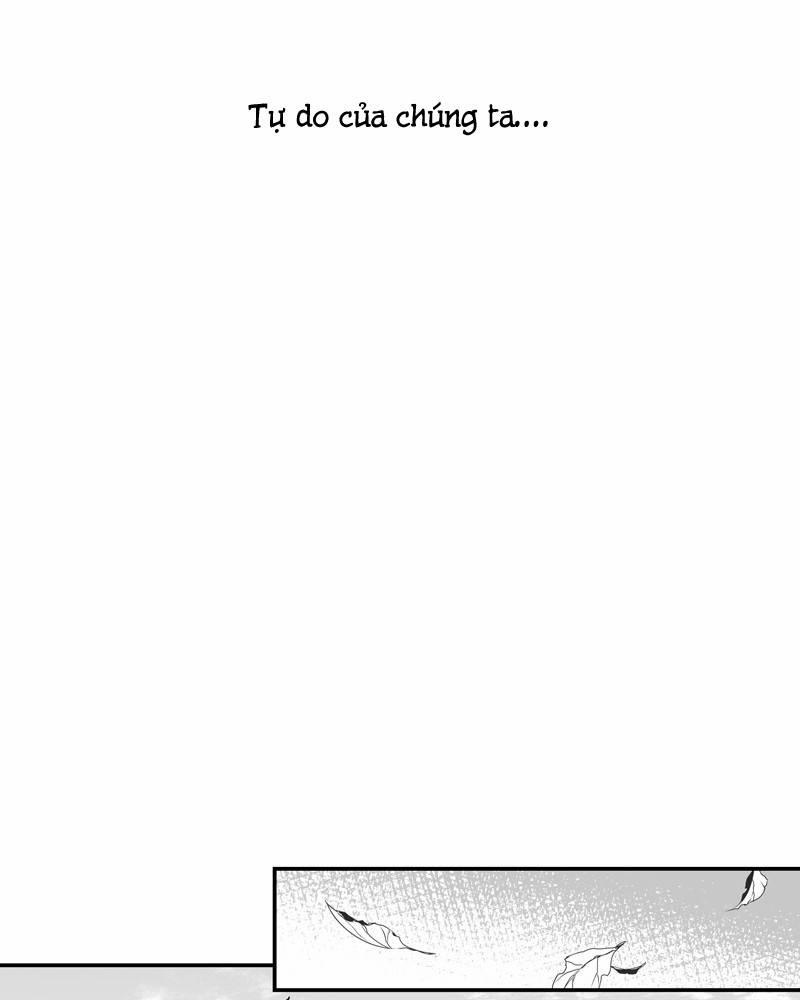 Cánh Chim 5 trang 17