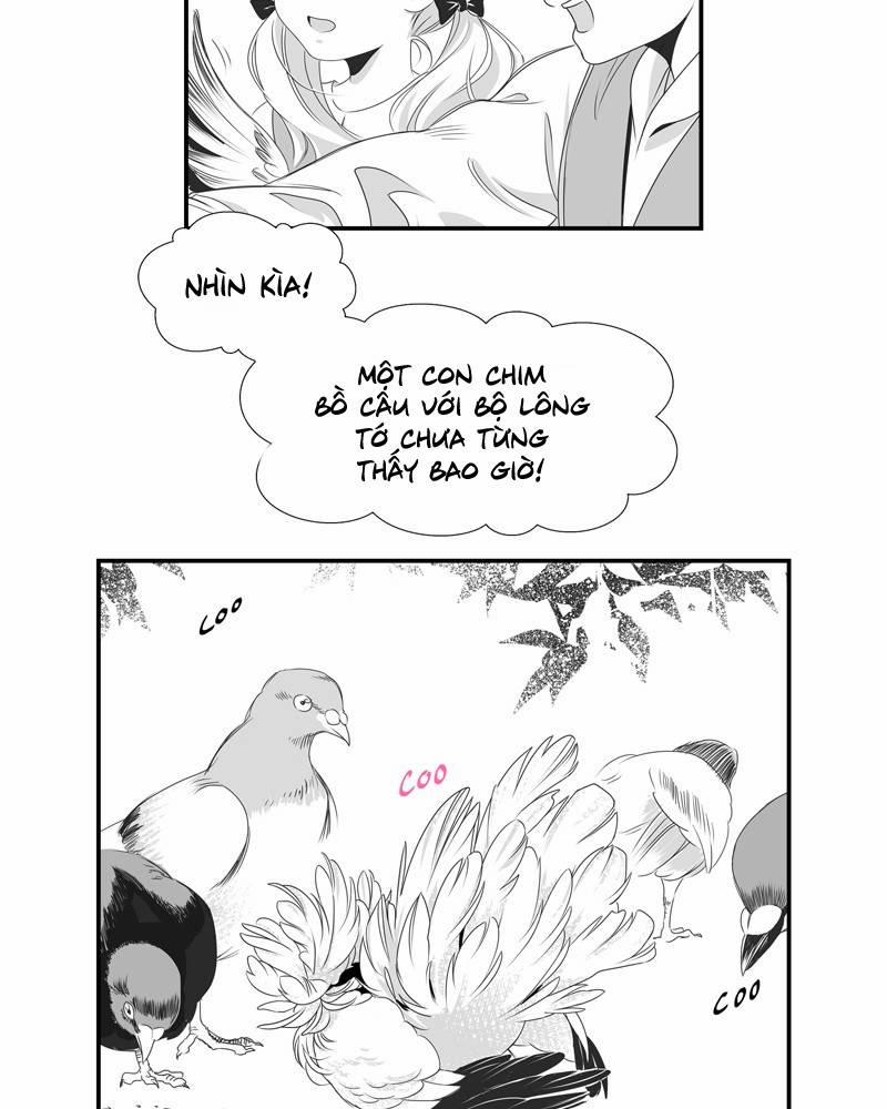 Cánh Chim 5 trang 19