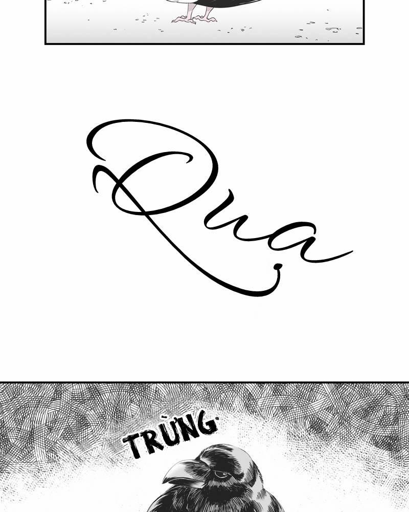 Cánh Chim 5 trang 20