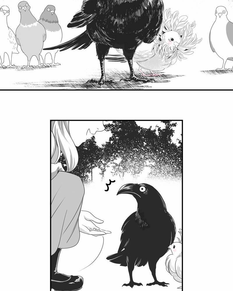 Cánh Chim 5 trang 21