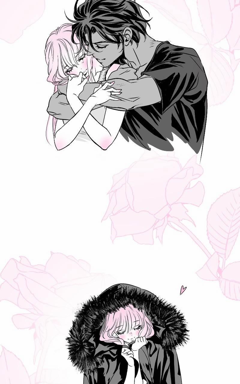 Cánh Chim 8 trang 4