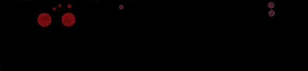 Cao Đẳng Linh Hồn 16 trang 52