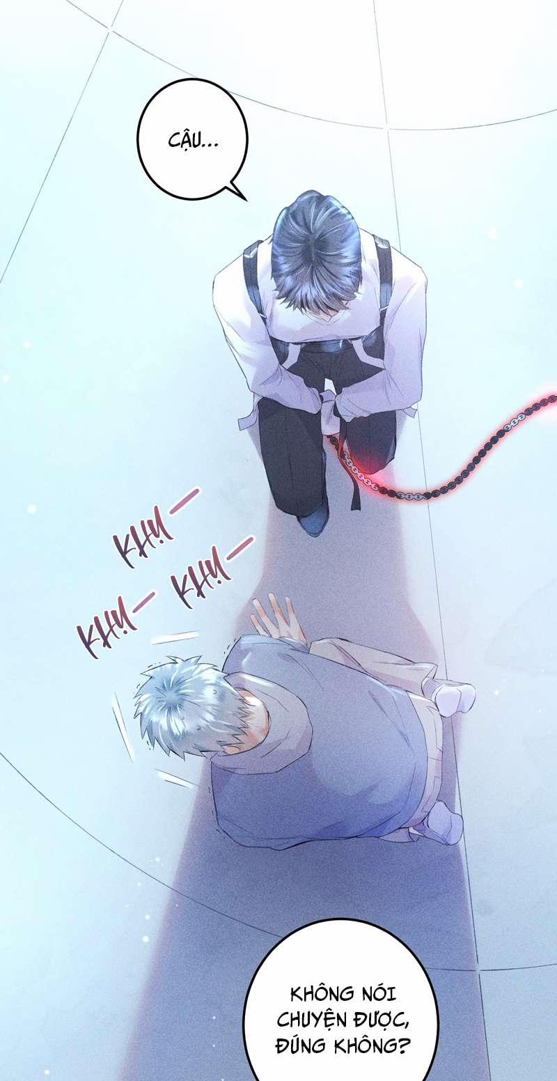 Cao Tháp 13 trang 13