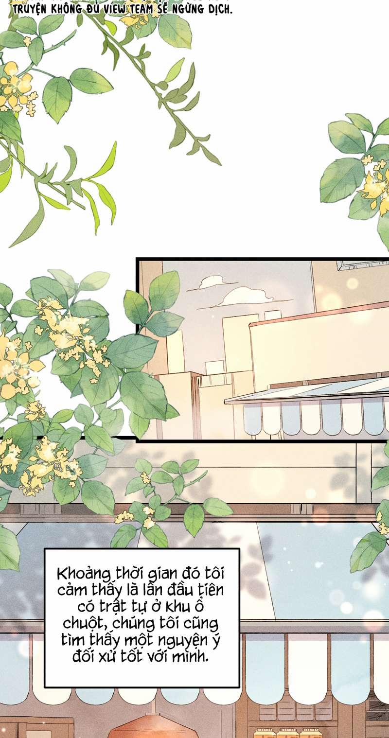 Cao Tháp 14 trang 16