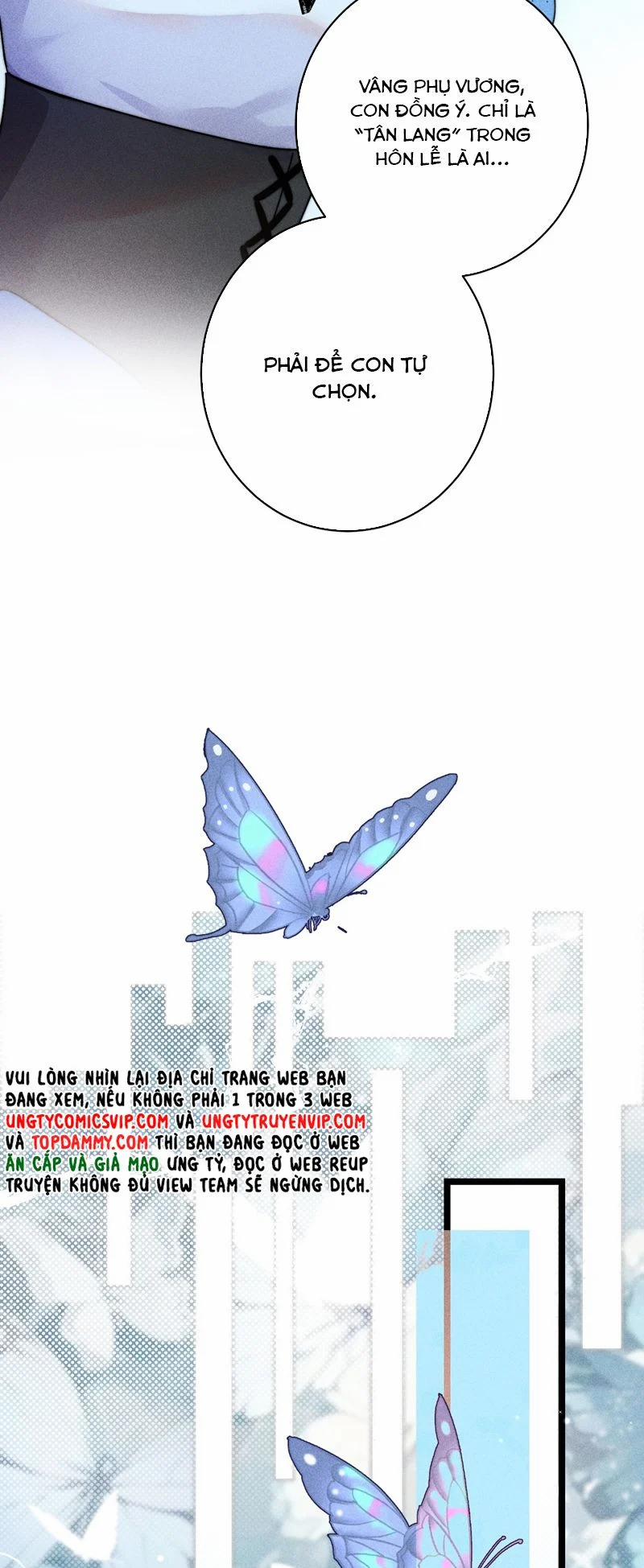 Cao Tháp 26 trang 13