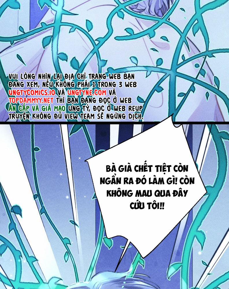 Cao Tháp 54 trang 31